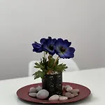 Sunny Moon By Adriatic Living Апартаменты *