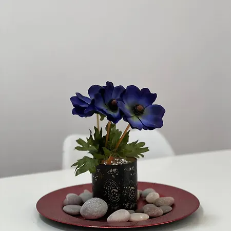 Sunny Moon By Adriatic Living شقة *