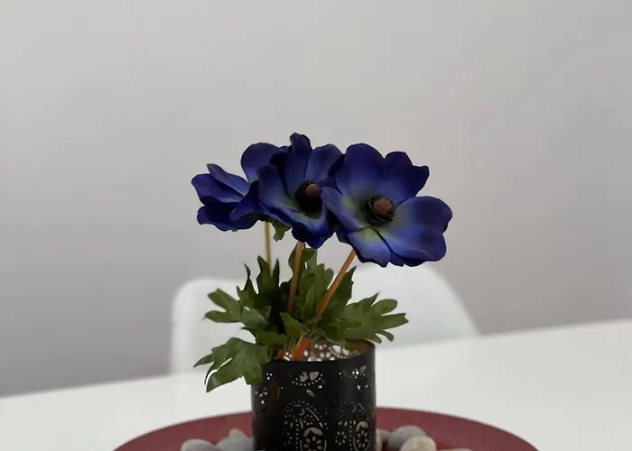 Sunny Moon By Adriatic Living 公寓 *